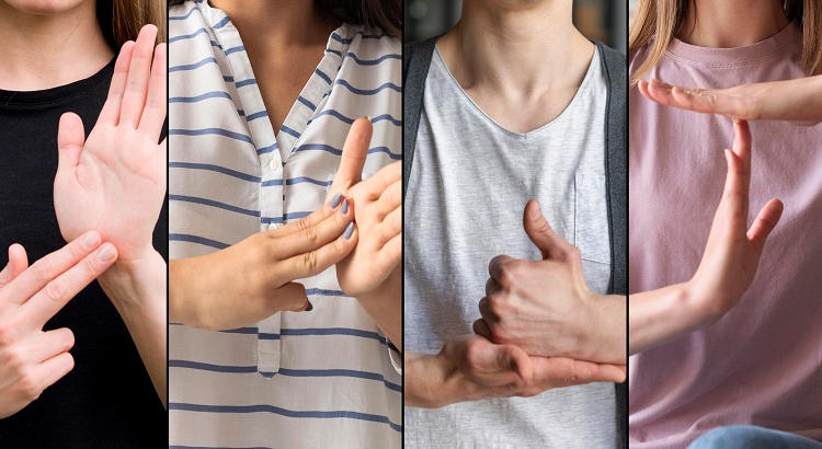 1956/2026 Expresiones básicas en la lengua de señas mexicana