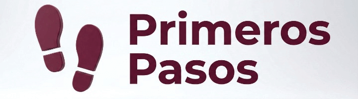 Sección: Primeros Pasos