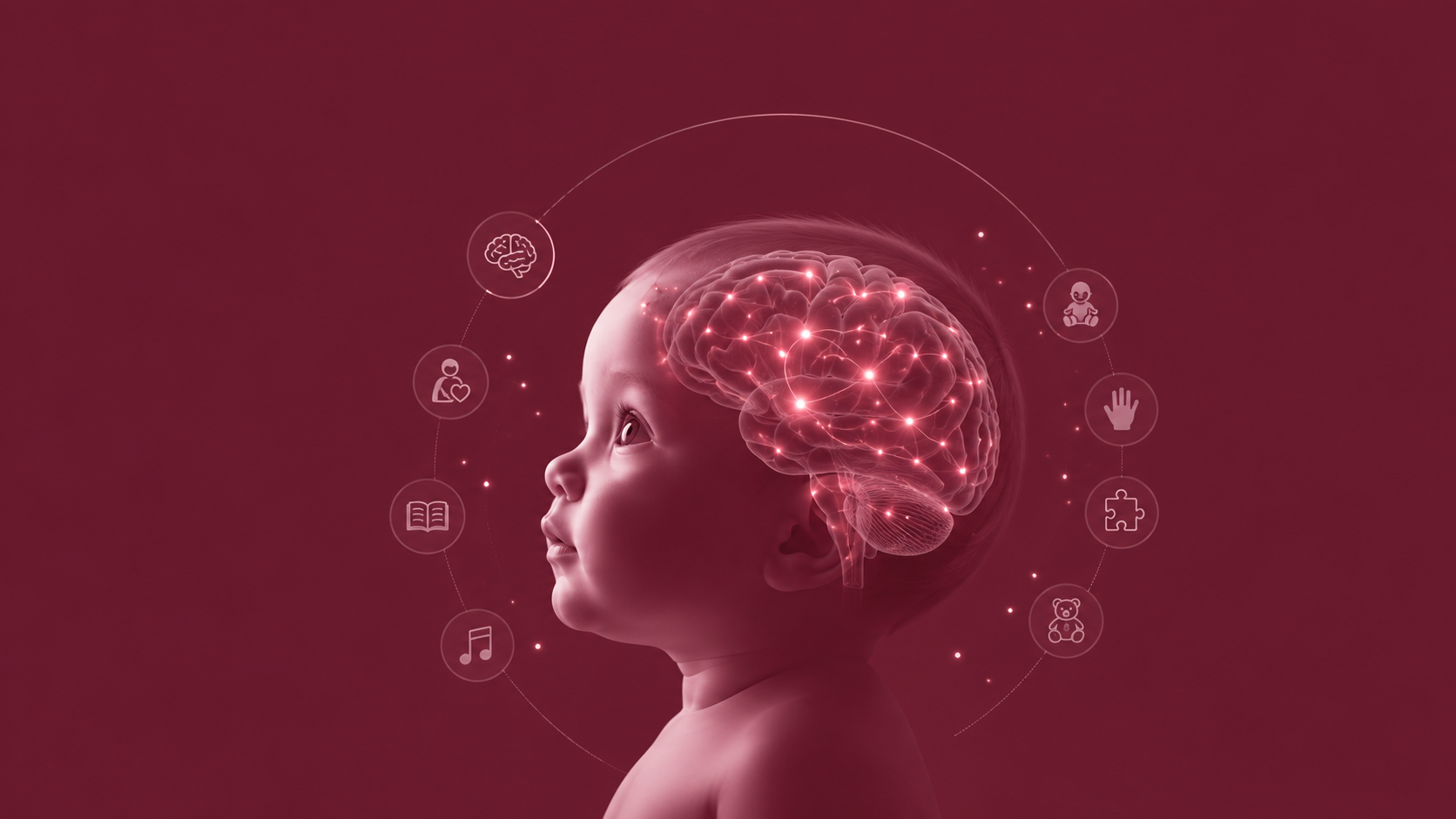 Acceder al tema: Desarrrolo cerebral infantil