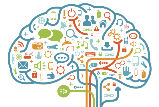 El cerebro y la PNL
